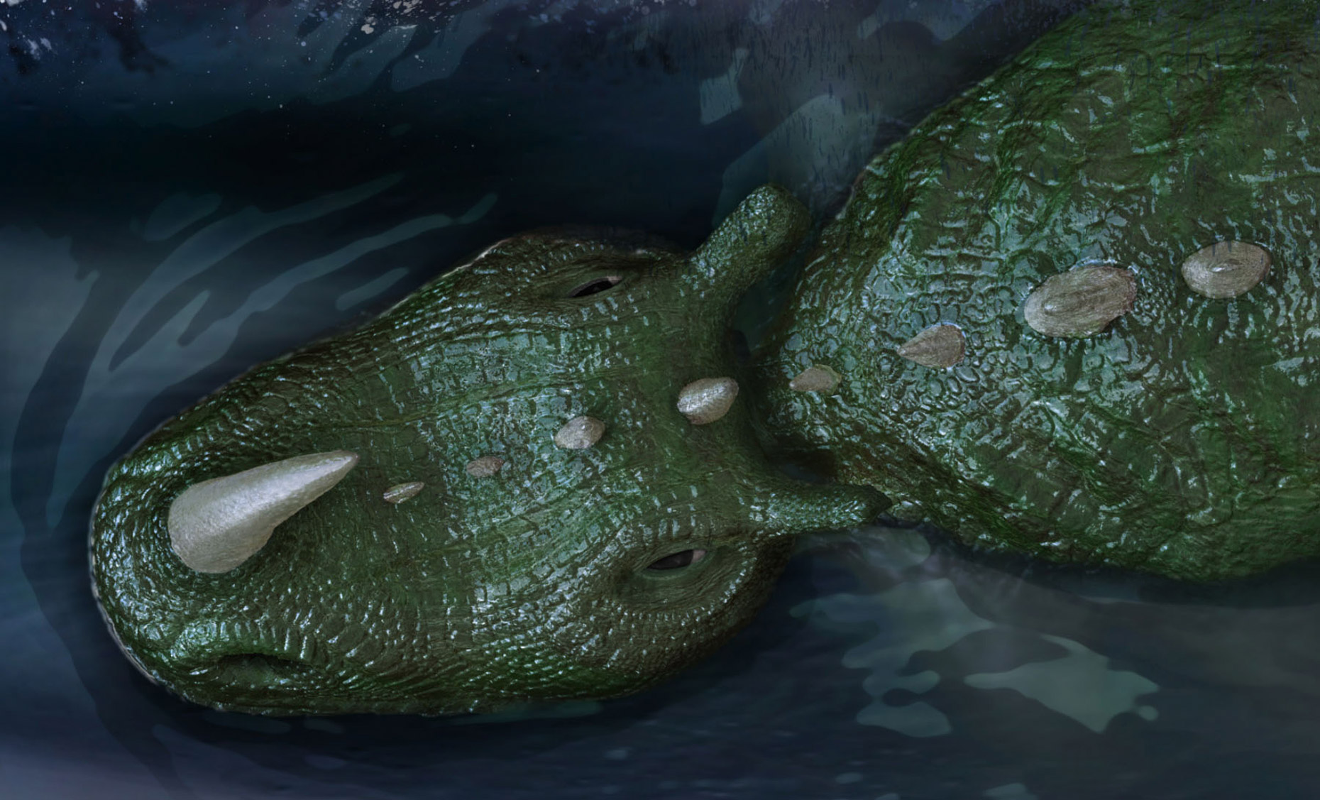 002Creatures_croccrop